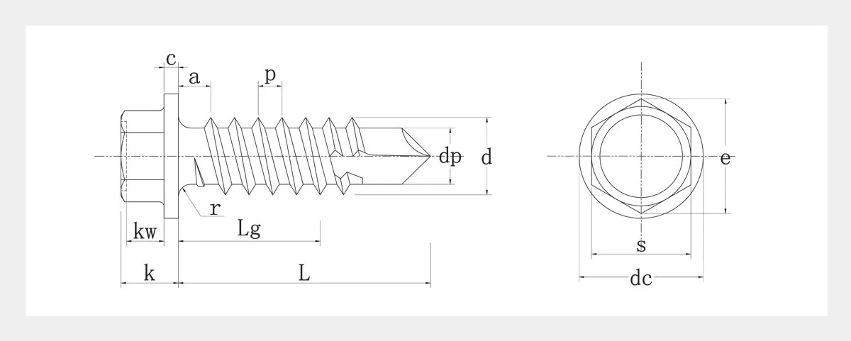 Self Drilling Screw With Washer-2D